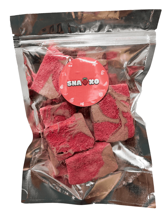Gefriergetrocknetes Wassermelonen- & Schokoladen-Eis (70g)